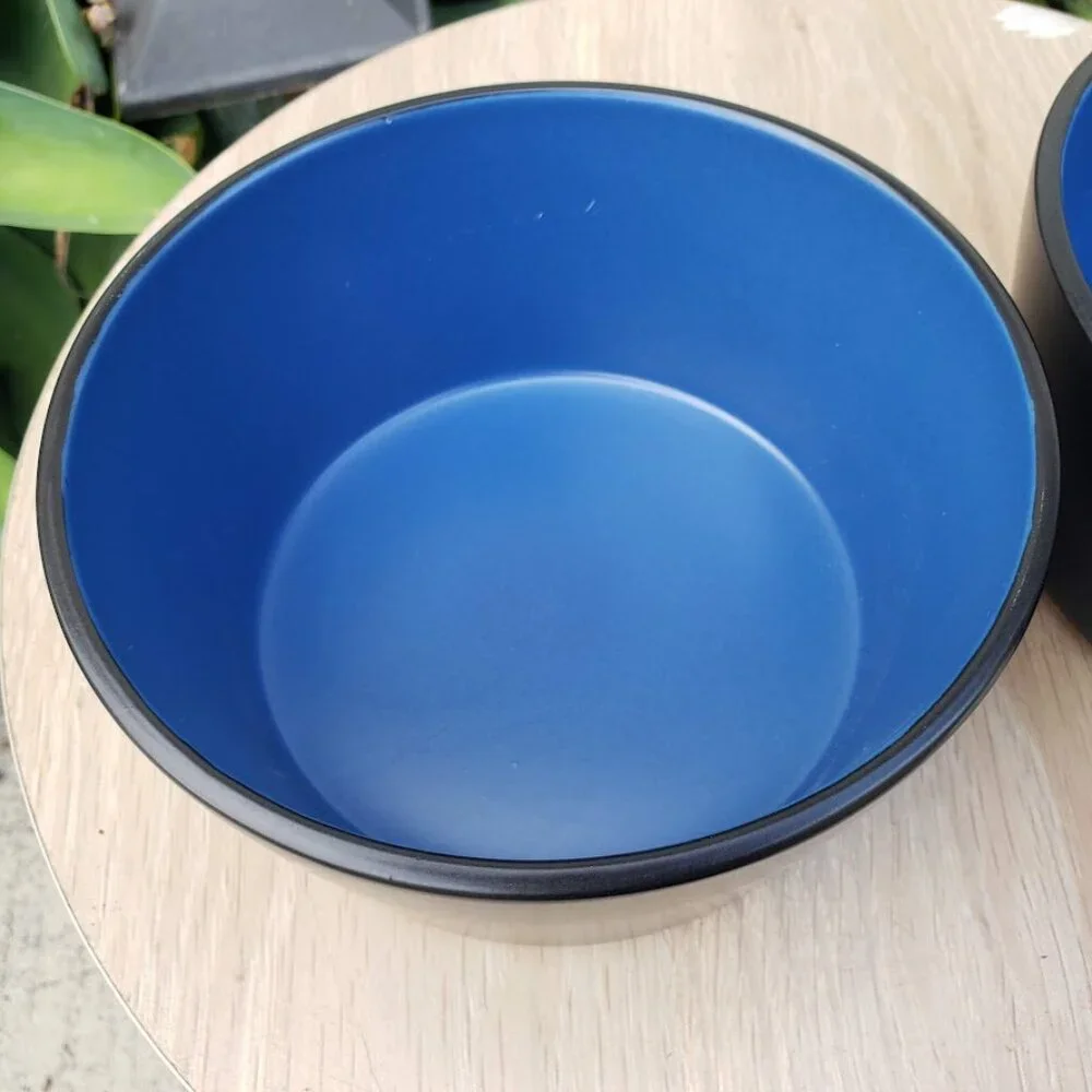NEW Stone Lain 2 Bowls Stoneware Dinnerware Set Blue and Black Dishwasher and Mi